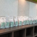 용인대 송호태권도장 이미지