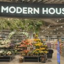 모던켄넬 이미지