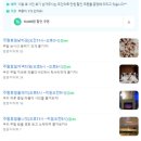 파플 더 샤인