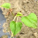 장암농장 이미지