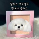 그립톡 양모펠트 | [양모펠트 원데이클래스 후기] 4×4인치 미니액자 &#39;마니&#39;