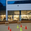 펫갤러리 이미지