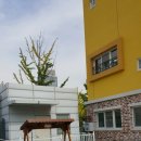 대전경찰청어린이집 이미지