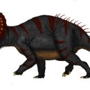 트리케라톱스-3 이미지