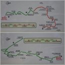 충남태안 구찌나무해수욕장 솔밭해변 트레킹 이미지