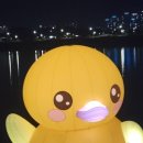 부성 이미지