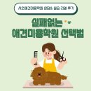 링크애견샵 | 서초애견미용학원 선택 기준 3가지! 4마리 견주 밤마미의 솔직 후기