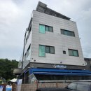 블루플래닛 | 화성애견운동장 블루플래닛에서 뛰어놀고 애견수영까지 하고 왔어요