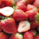 코엑스짐 호평점 이미지