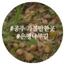 공주교도소부속의원 이미지