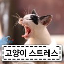 매탄동물병원 이미지