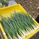 대목농장 이미지