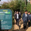 국화정원 이미지