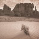 CU수안보온천 이미지