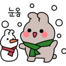안성신발