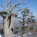 포토갤러리 이미지