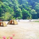 석수캠핑장 이미지