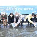 연어야연어야