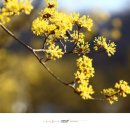 ICHEON04 네이버블로그