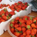 태경농장2 이미지