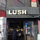 러쉬(LUSH) | [LUSH] 러쉬 추천템! 마사지 바, 슬립 내돈내산 후기