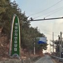 고란길(길안면) 이미지