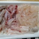 세진2호 네이버블로그