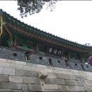 161 이미지