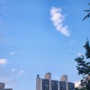 금동어린이공원 이미지