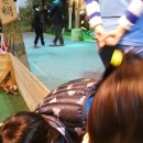 애니 팜 이미지