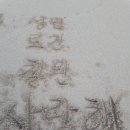성민꽃농원