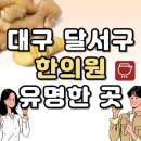 죽전동 보건소 | 대구 달서구 한의원 추천 TOP5 양심 한의원 유명한 곳