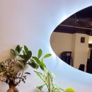 솔리드짐 이미지