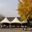 북면사무소 이미지