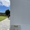 안나목장 | 제주 동쪽 카페 밭디 후기 | 가족·아이랑 가기 좋은 목장 뷰맛집