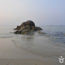 영진 이미지