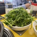돈암야채