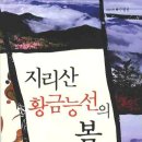 황금능선 이미지