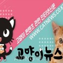 나루코주