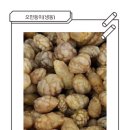 통영어패류 이미지