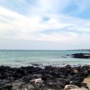 한라오토카 이미지