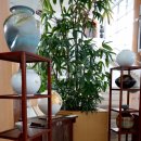 창원시청 이미지