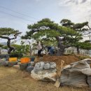 구암동387 이미지