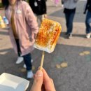 서울랜드 벚꽃 놀이 내돈내산 후기 (서울랜드 주차장, 서울랜드 벚꽃 4월, 서울랜드 먹거리, 서울랜드...