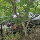 산이네로