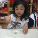 소정몬테소리 이미지