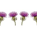 우리flower