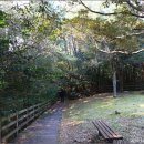 한라산천연보호구역 이미지