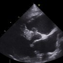 당진종합 동물병원 이미지