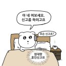 담양 | 2025년 담양 단풍 후기 🍁 | 카페 • 국수거리 추천 | 담양관방제림. 죽녹원. 메타세콰이아길